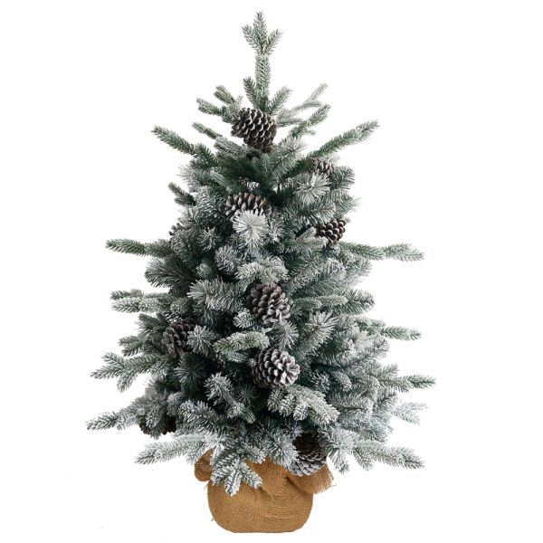 3 Feet Snowy Dorchester Pine Small Tree with Big Cones in Burlap Bag