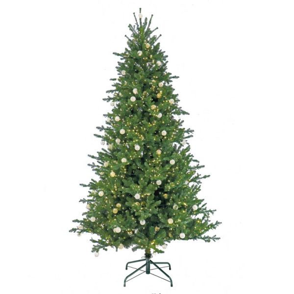 7.5 Feet Aspen Pine Tree