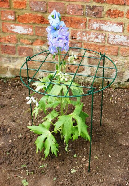 20 Inches Grow Through Ring (Pack of 4) Steel Plant Border Supports Legs Sold Separately - Steel - L50.8 x W50.8 x H51 cm - Green