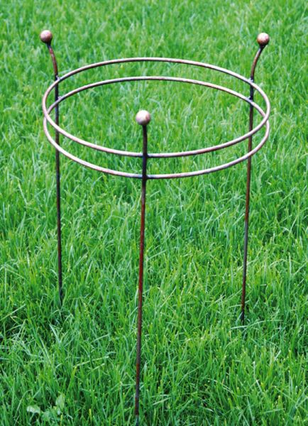 Double Ring Frame (Small) (Pack of 2) - Steel - L33 x W33 x H63.5 cm - Bare Metal/Ready to Rust