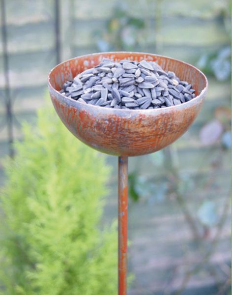 Bowl Plant Pin 5Ft (Bare Metal/Natural Rust) (Pack of 3) - Steel - H154.2 cm