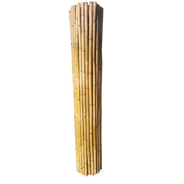 Roll of Bamboo Screen for garden fencing - L200 x W3 x H200 cm - Moso