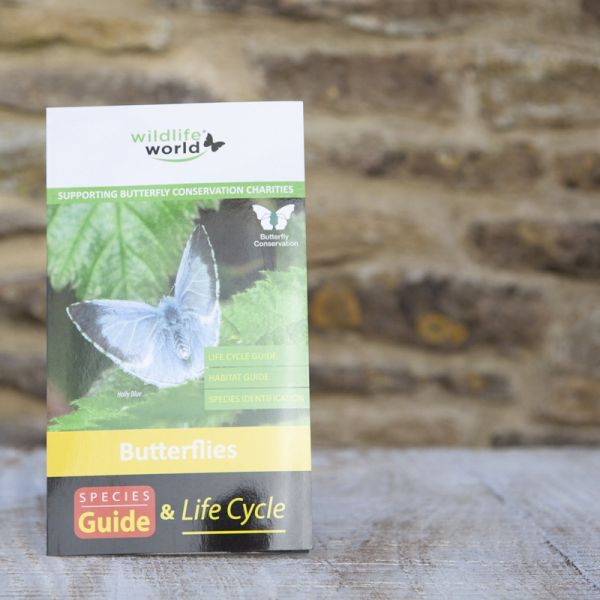 UK Butterflies Guide