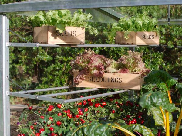 Optional Twin Seed Tray Shelves