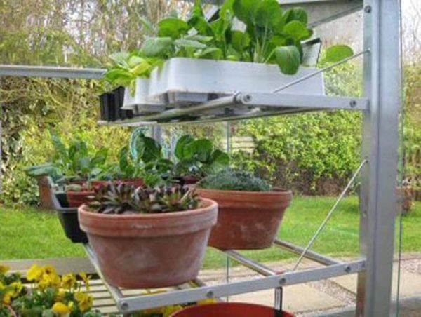 Optional Twin shelf set for Half Cold Frames