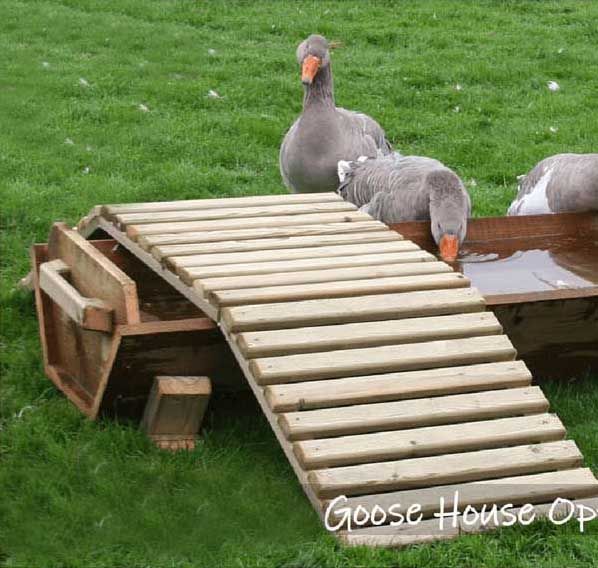 Optional Water Trough for Aldeburgh Goose Or Duck House - L200 x W60 x H20 cm