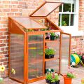 Hardwood Mini Greenhouse - L63 x W120 x H144 cm